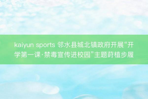 kaiyun sports 邻水县城北镇政府开展“开学第一课·禁毒宣传进校园”主题莳植步履